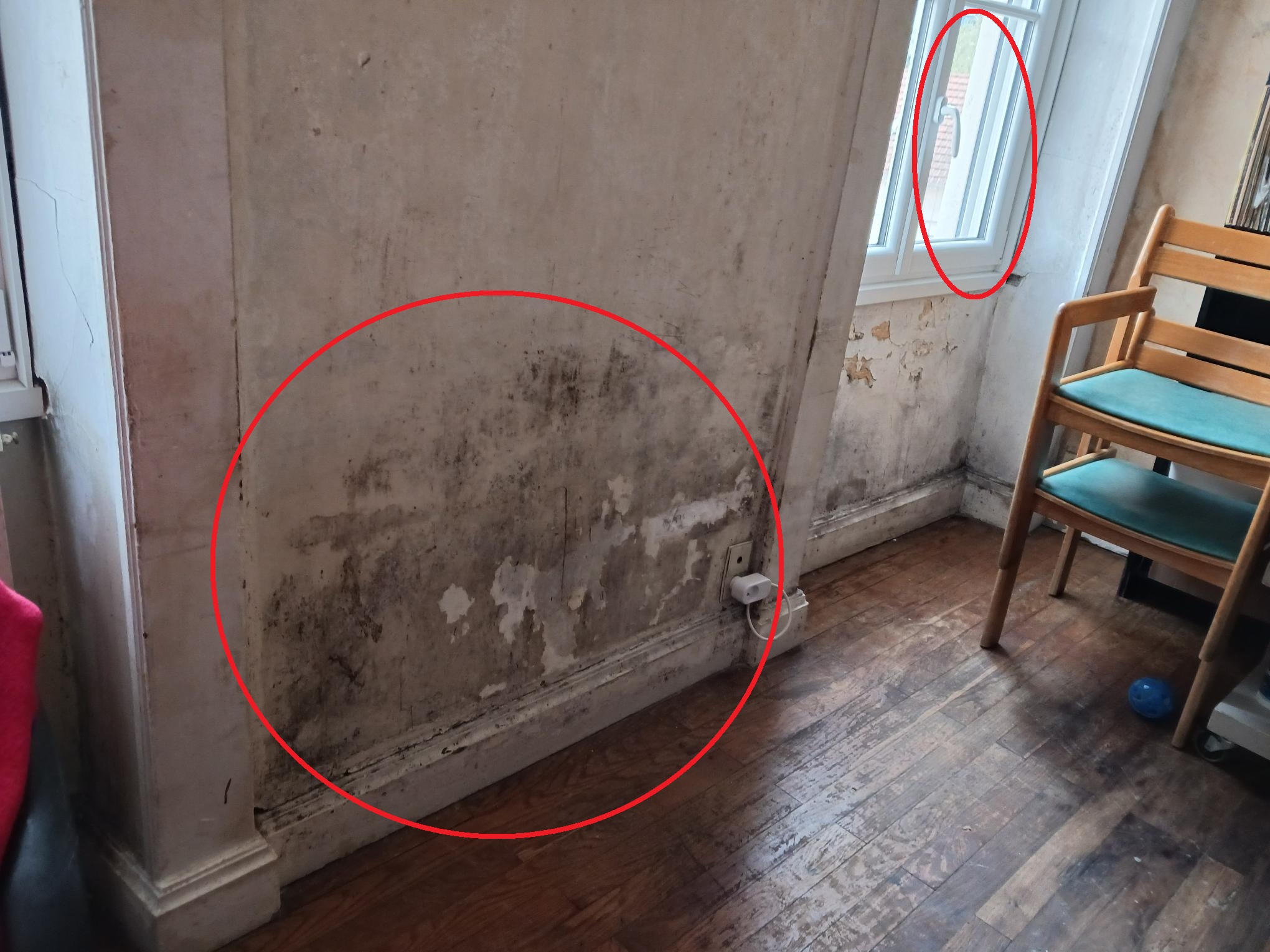 Moisissures suite au changement de fenêtres